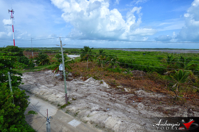 Massive Land Clearing Has Island Residents Very Concerned 4 Massive Land Clearing Has Island Residents Very Concerned