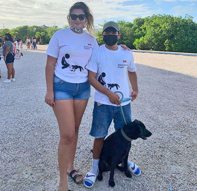 Stray Dogs Receive Love from SP Share and Care 3 Stray Dogs, SP Share and Care, Dog Feeding Program