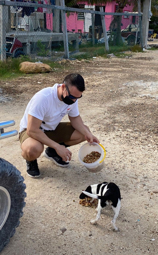 Stray Dogs Receive Love from SP Share and Care 5 Stray Dogs, SP Share and Care, Dog Feeding Program