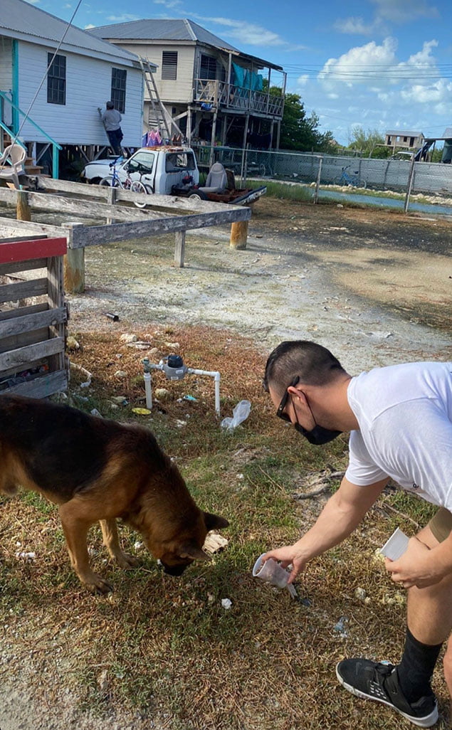 Stray Dogs Receive Love from SP Share and Care 6 Stray Dogs, SP Share and Care, Dog Feeding Program