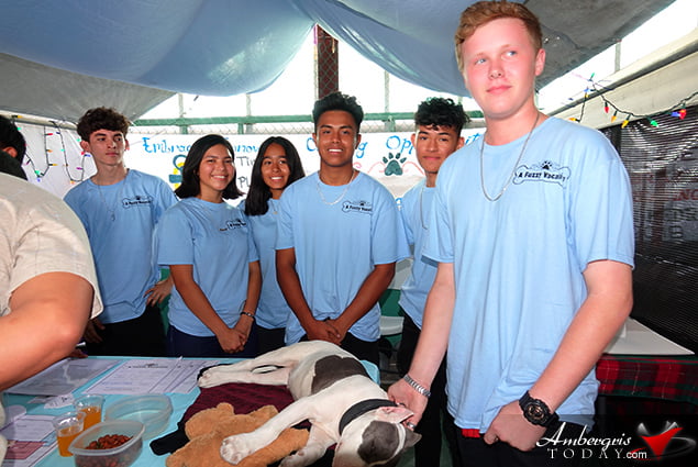 Awesome Product/Business Displays at SPHS’s Business Fair