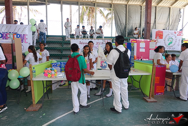 SPHS Science Fair all About Reducing, Reusing and Recycling!