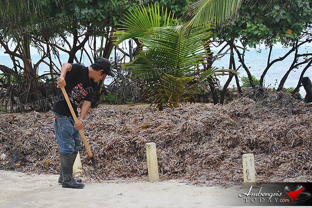 Keeping One Step Ahead of the Storm