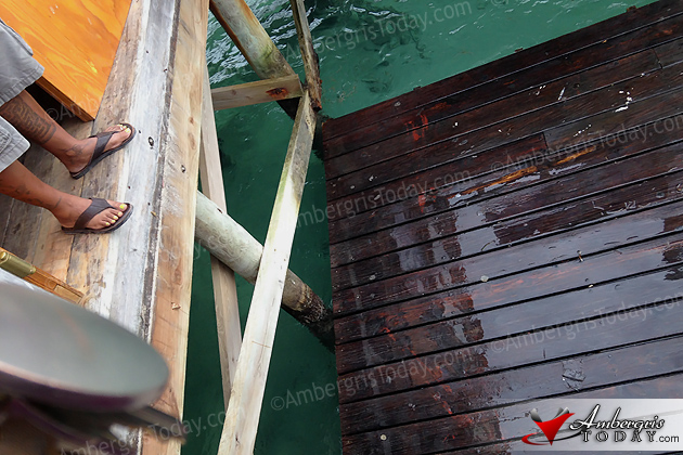 Pier Collapse During Easter Break in San Pedro Sends 51 into the Water