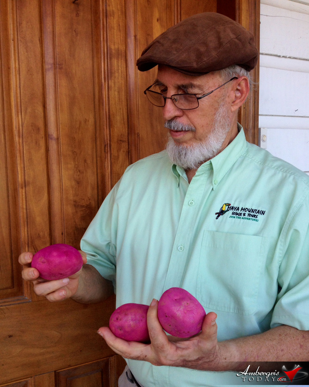 Ministry of Health Issues Food Safety Alert on Tainted Irish Potatoes