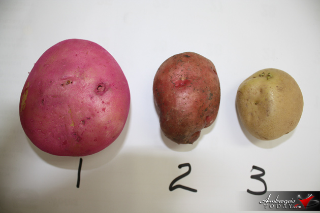 Ministry of Health Issues Food Safety Alert on Tainted Irish Potatoes