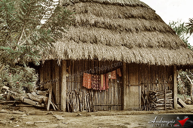 Thatch Houses in San Pedro Village, Ambergris Caye, Belize Calm Days Were Horrible in San Pedro
