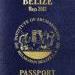 Belize Maya 2012: The Countdown Has Begun! - The Maya Passport!