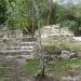 National Geographic Society Funds Mayan Garden
