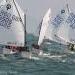An Optimist race underway.  (Courtesy of the International Optimist Class Association [UK])
