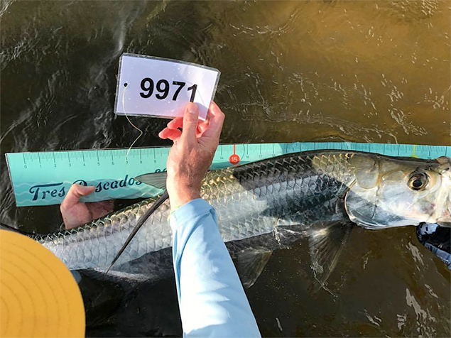 Tres Pescados Slam and Sports Fishing Enthusiasts 