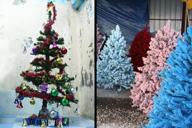 Old Timer or Modern Sanpedrano? #11