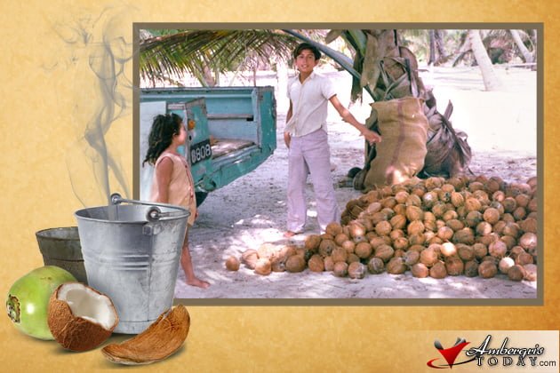 Heavy smoke to repel the mosquitoes