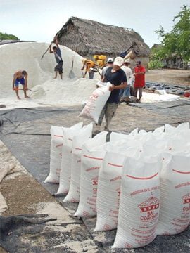 Salt lake in North Ambergris Caye