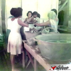 Sanpedranas working at the co-operative