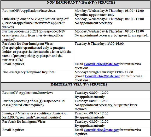 Non Immigrant Visa Services