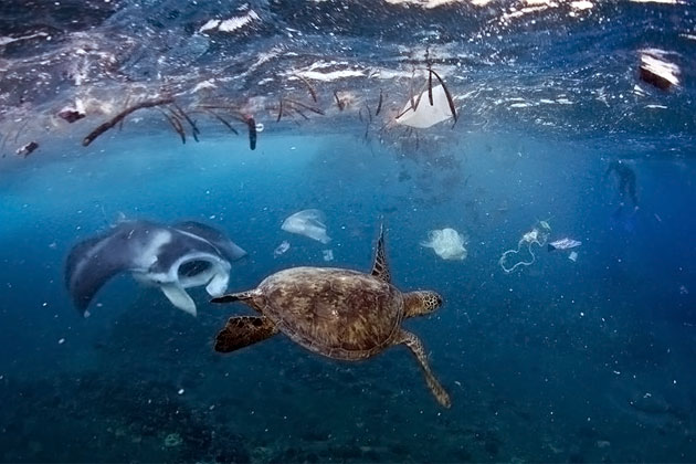 VIP Party Pushes Recycle Shopping Bag Program in Ambergris Caye