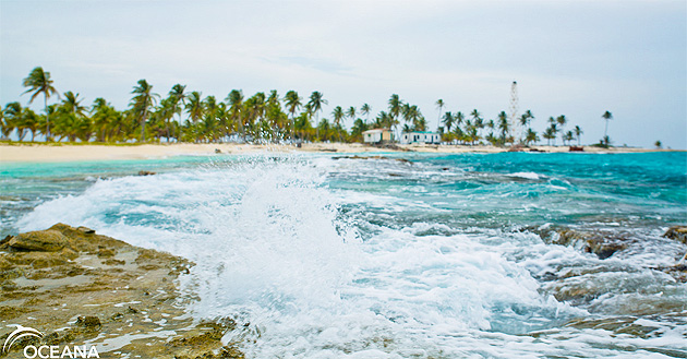 Oceana Wavemakers Celebrate World Ocean’s Day 2014 at Halfmoon Caye