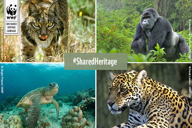 WWF Celebrates Another Successful Year WWF Celebrates Another Successful Year