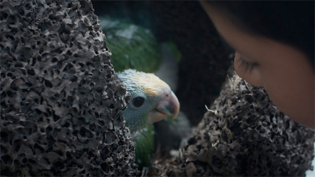 Belizean Short-film Selected for an Oscar-Qualifying Theatrical Run 4 Belizean Short-film Selected for an Oscar-Qualifying Theatrical Run