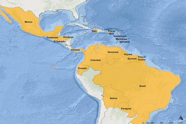 Municipal Authorities to Get Training on Zika Virus Response