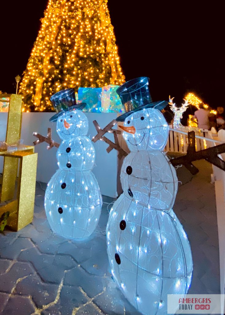 Central Park Sparkles for the Christmas Holiday Season 7 christmas tree lighting ceremony