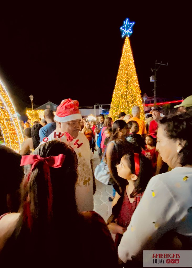 Central Park Sparkles for the Christmas Holiday Season 21 christmas tree lighting ceremony