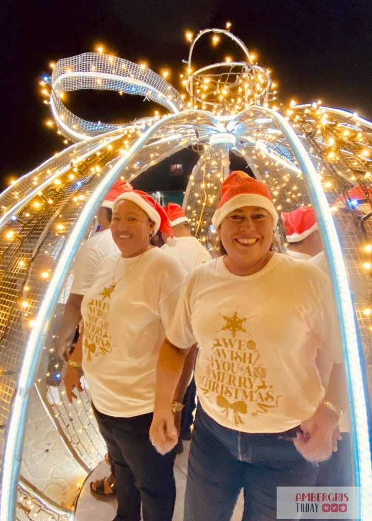 Central Park Sparkles for the Christmas Holiday Season 12 christmas tree lighting ceremony