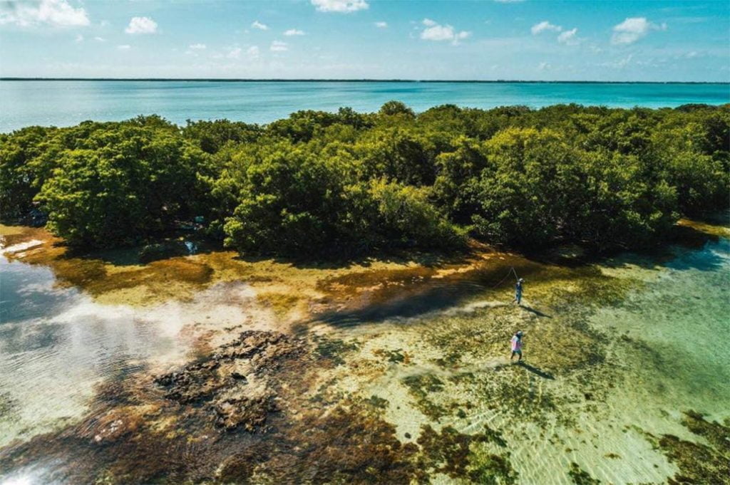 Court Ruling Won’t Stop ACCSD’s Commitment to Protecting Cayo Rosario 22
