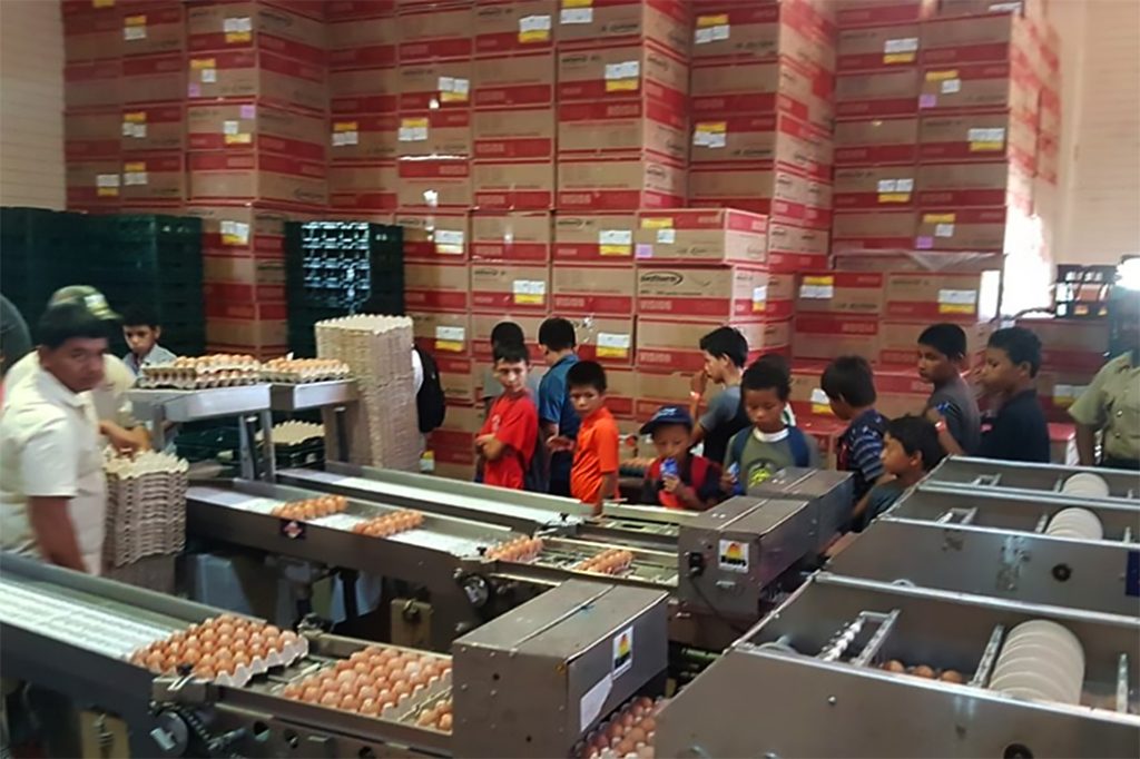 Youths Engage in Agriculture Summer Camp 2019 9