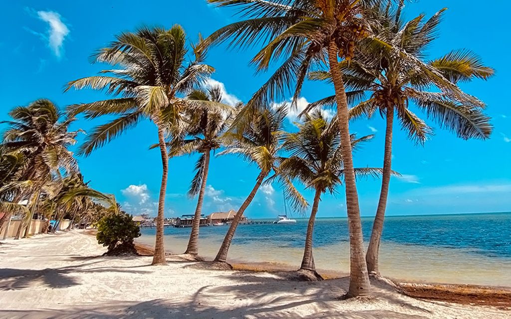 Ambergris Caye Keeping Higher Corona Virus Infections at Bay 41 Ambergris Caye Keeping Higher Corona Virus Infections at Bay 15