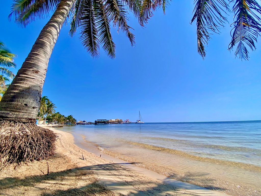 Town Council Embarks on Ambitious Beach Reclamation 6