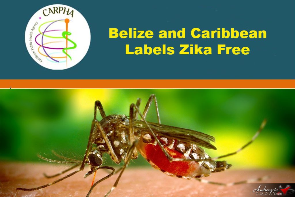 Belize and the Caribbean Labels Zika Free 6