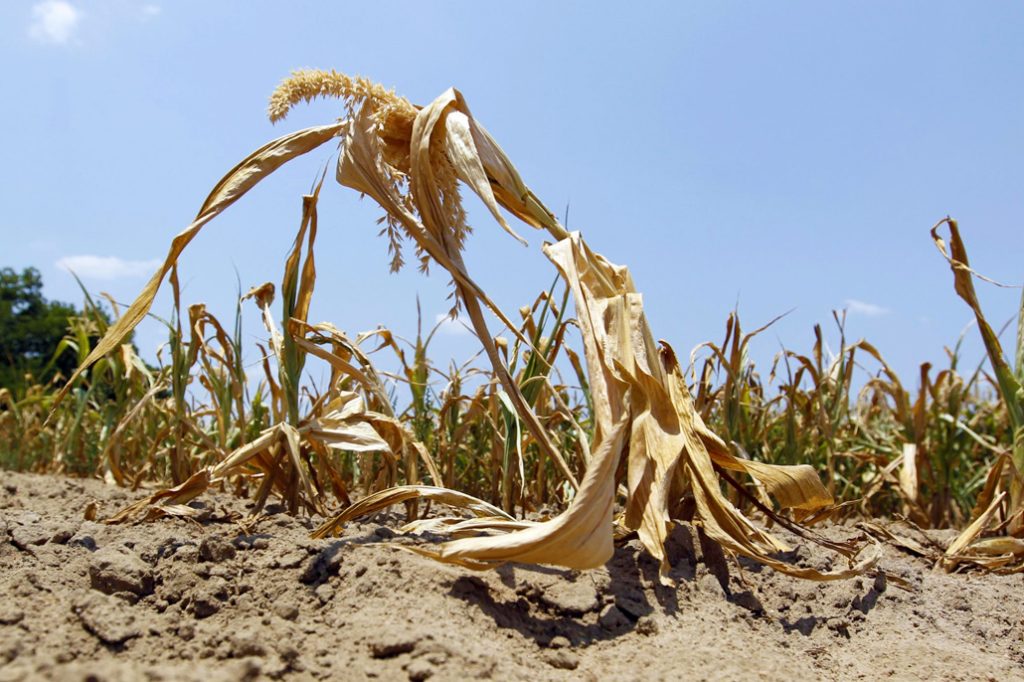 Drought Conditions Expected Through September in Belize 2