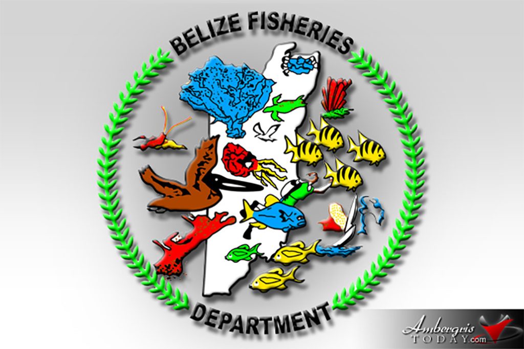 Belize Fisheries Department Informs of Renewal of Fisherfolk Licenses 2018 20
