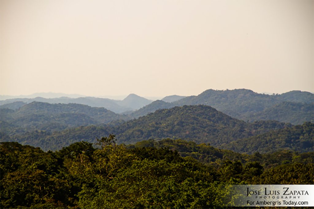 Endorsement of the Maya Forest Biological Corridor in Central Belize 5