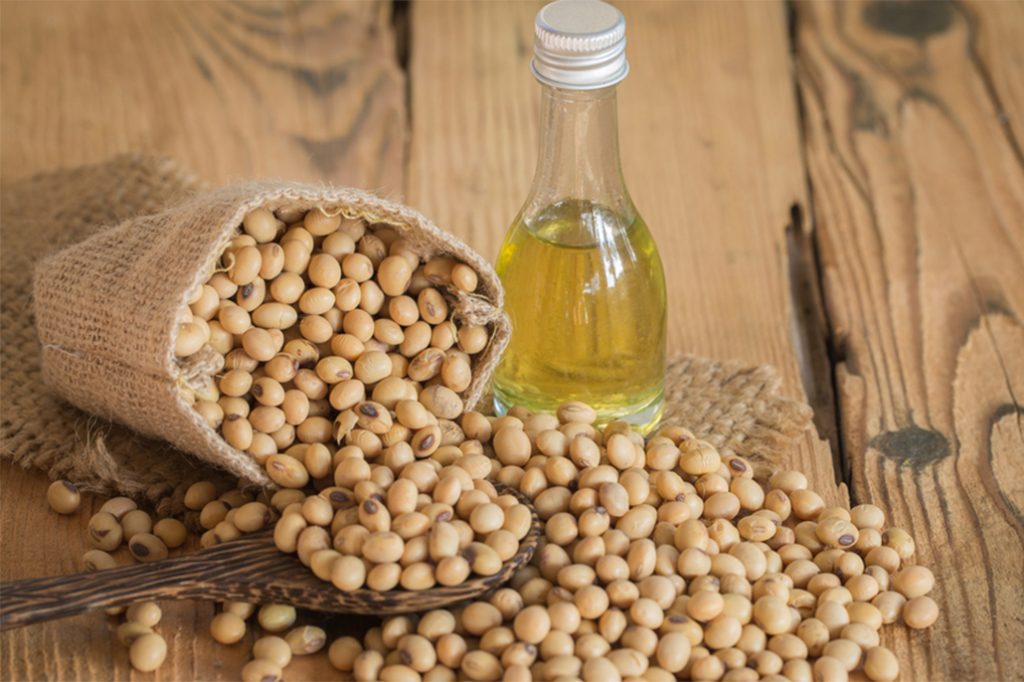 Belize Exports First Shipment of Soybean Oil to Jamaica 16