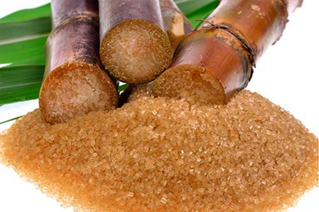 Government of Belize Addresses Challenges in Sugar Industry 22