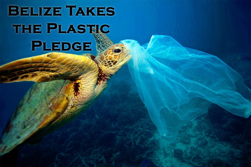 Belize to Phase Out Single-use Plastic Bags and Styrofoam and Plastic Food Utensils 24