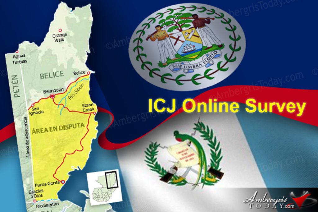 The Belize Network of NGOs Launches ICJ Online Survey 19