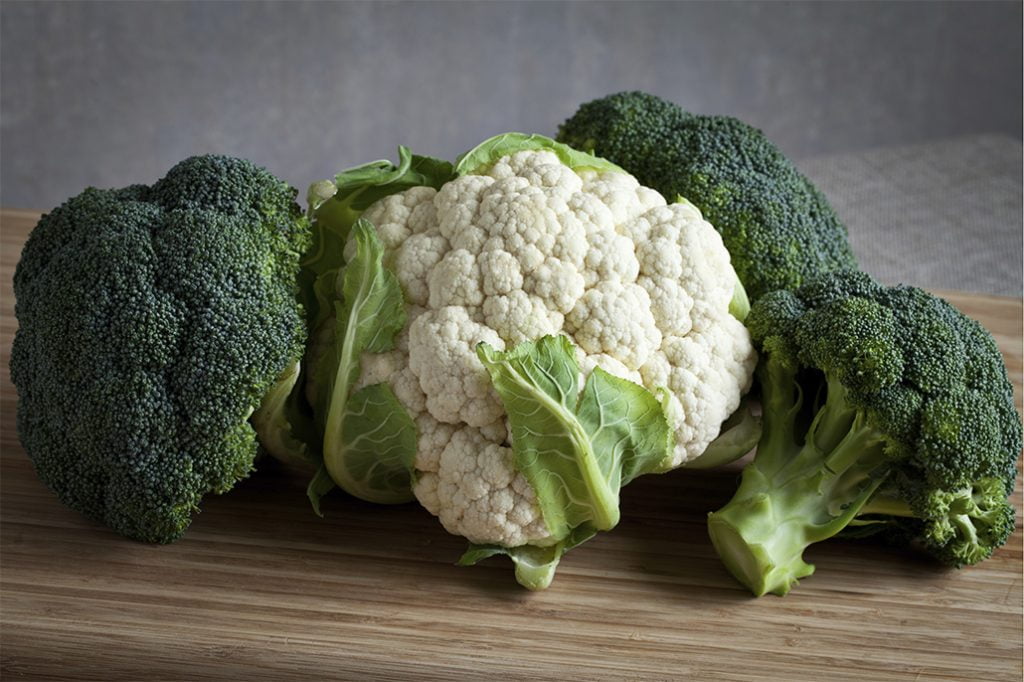 Broccoli and Cauliflower Production in Belize 8