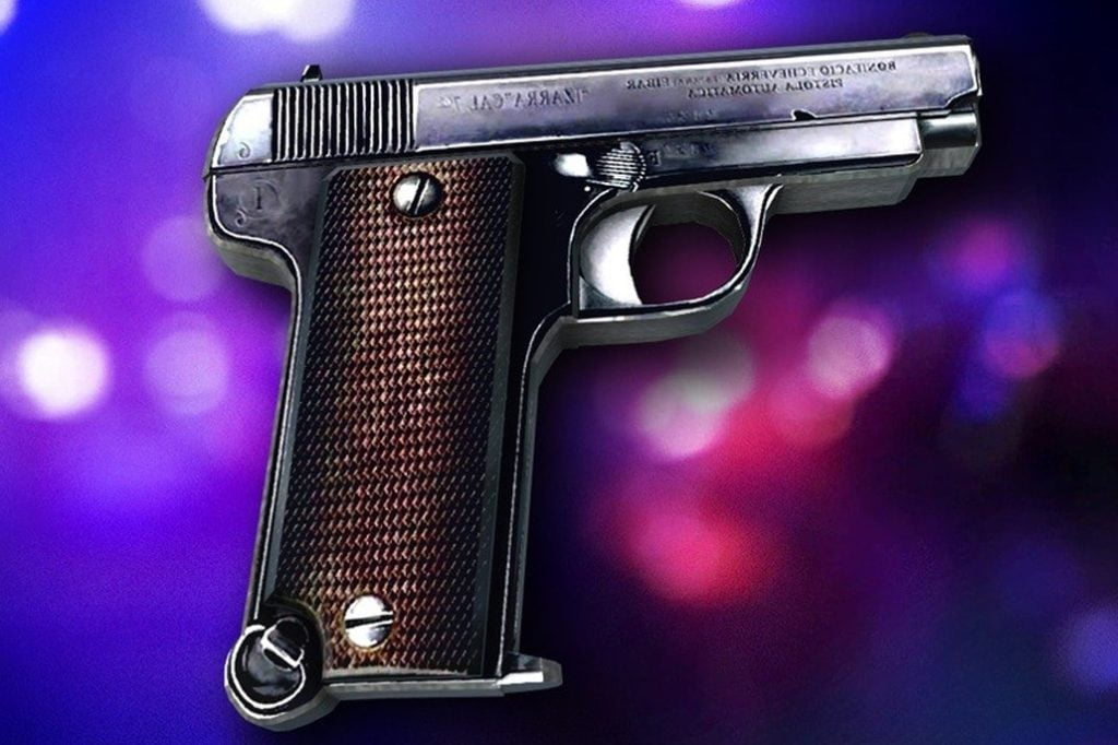 San Pedro Businessman Charged for Discharging a Firearm in Public 8