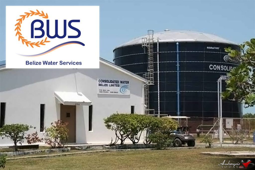 BWS Purchases Consolidated Water Belize Limited 20