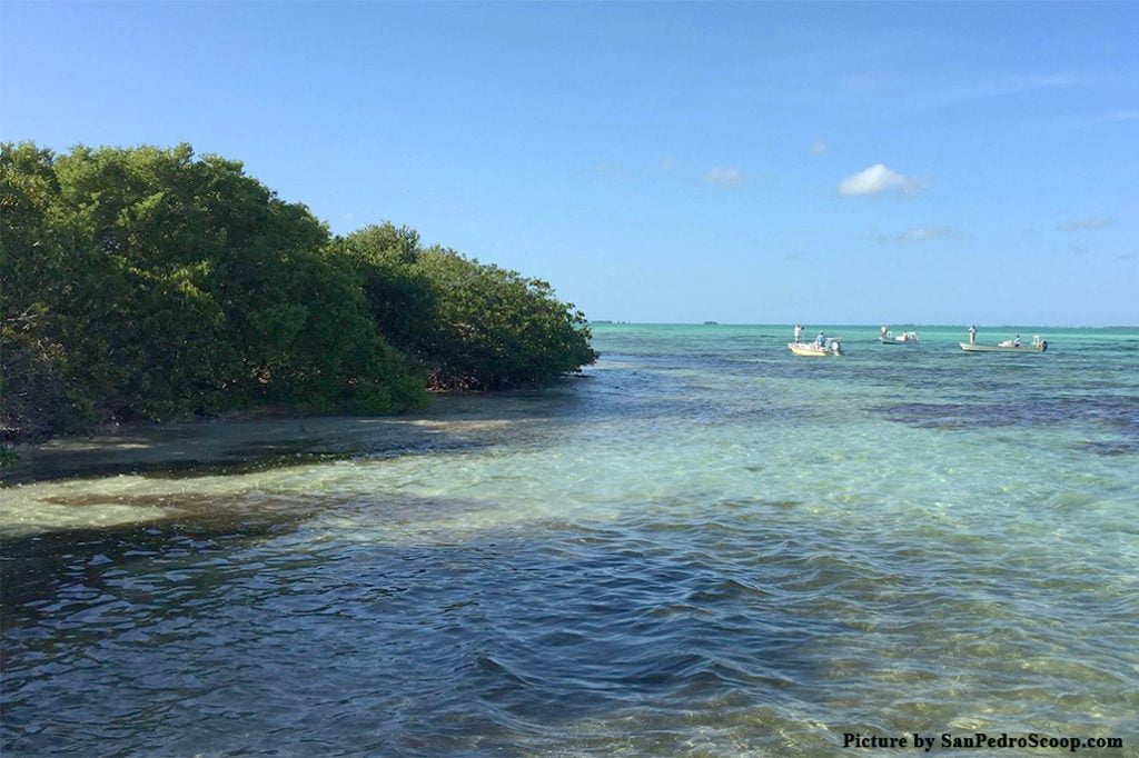 Stakeholders Unite to Stop Destructive Development within Hol Chan Marine Reserve 10