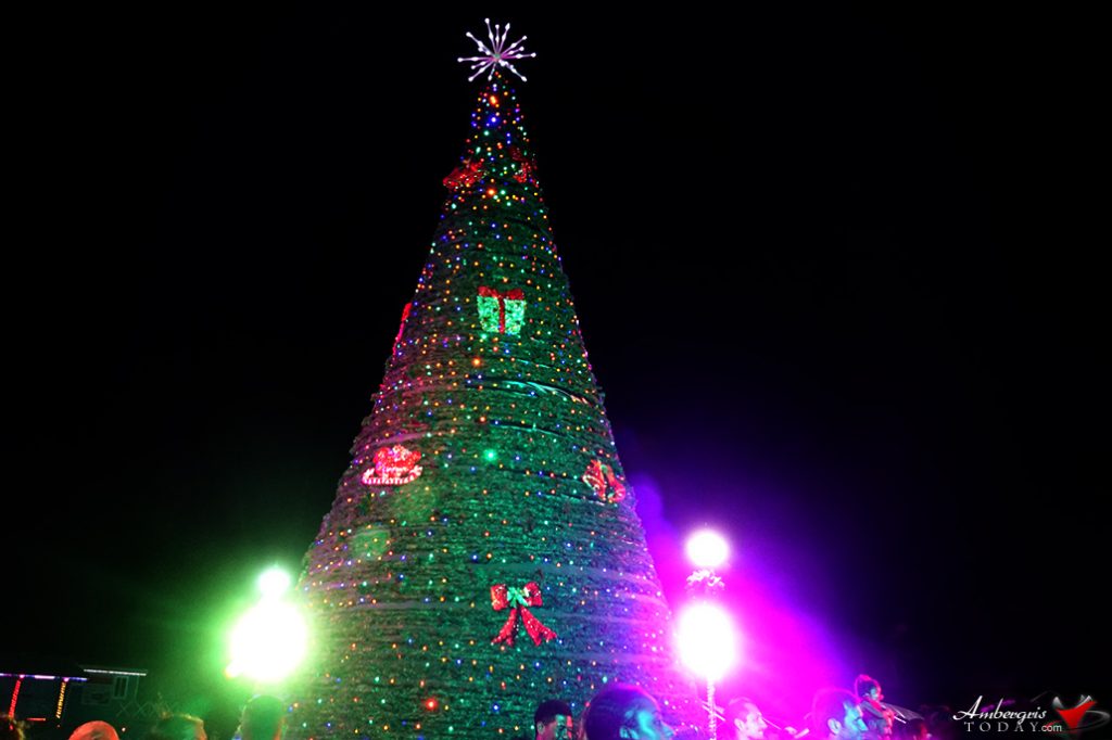 Christmas Tree Lighting Ceremony 25