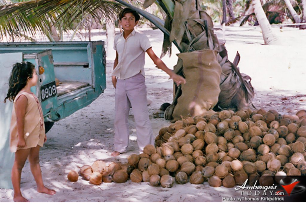 Hardships and Glory of the Coconut Industry 15