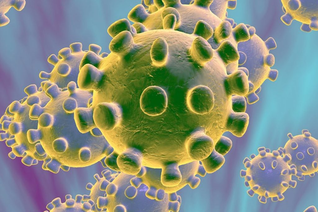 Ministry of Health Confirms Third Case of COVID-19 in Belize 10