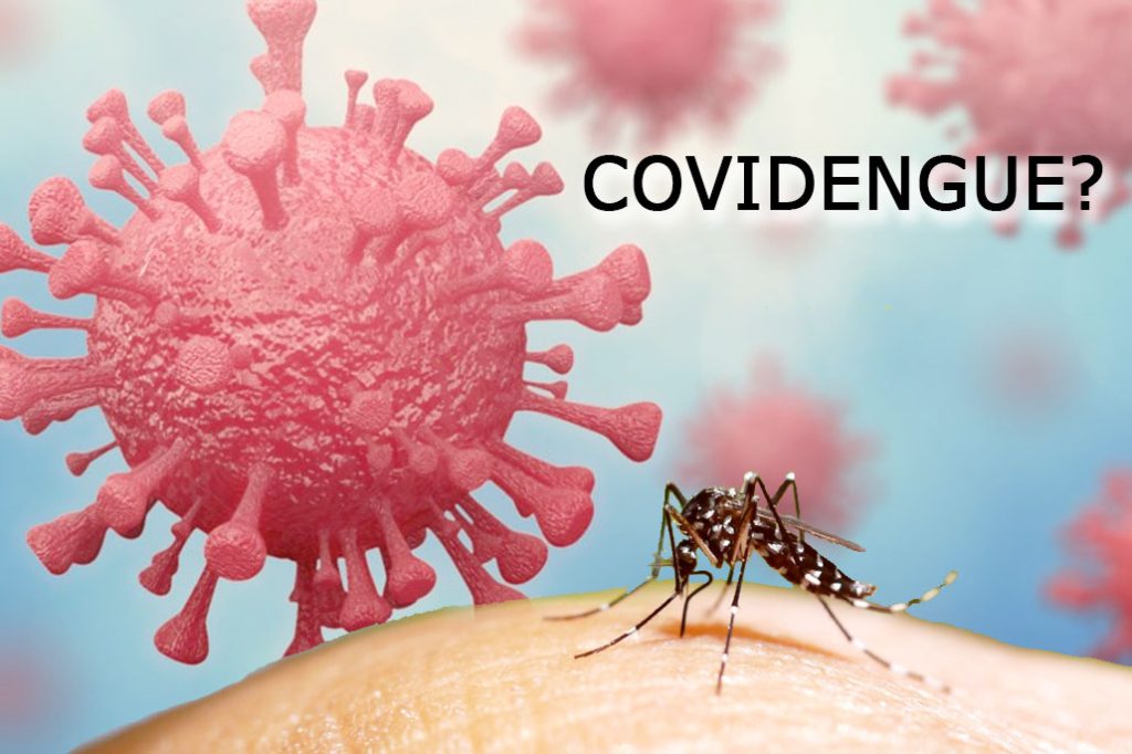 Dengue and Malaria Concerns Increase Alongside COVID-19 in Belize 7