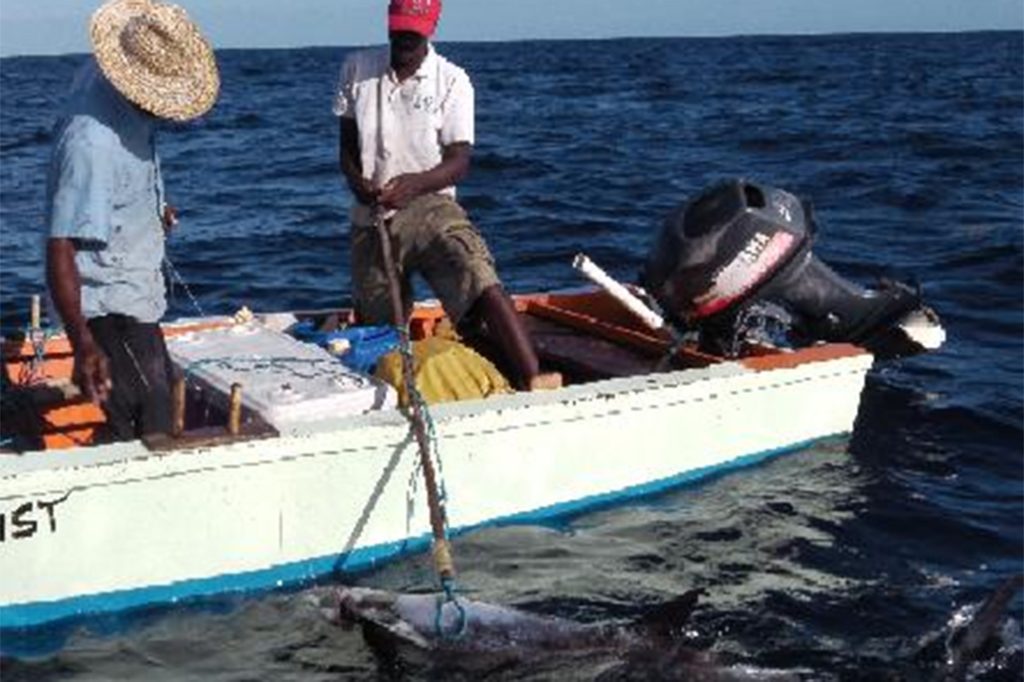 Caribbean Regional Fisheries Mechanisms Holds High-level Fisheries Meetings in Belize 7