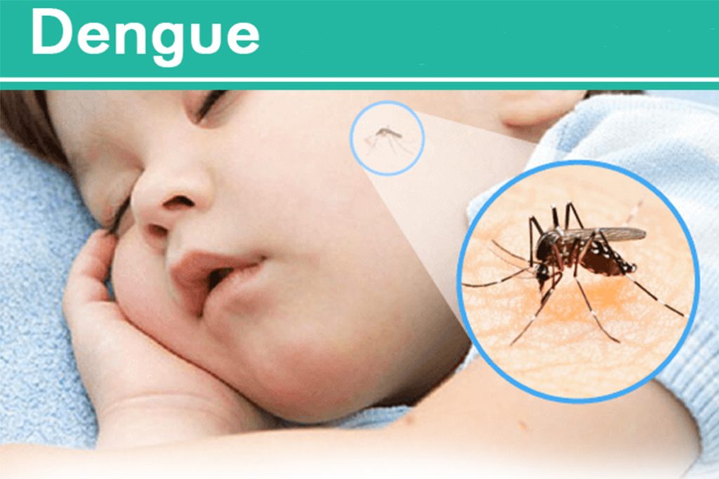Dengue Cases on the Rise; 789 Confirmed Cases! 19